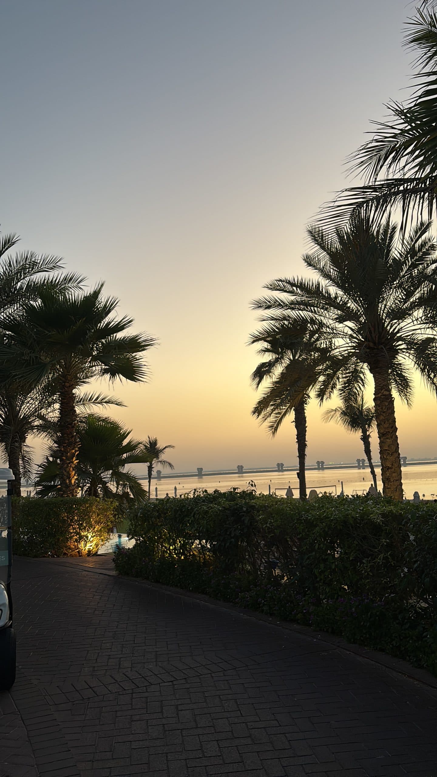 Albina T, Dubai