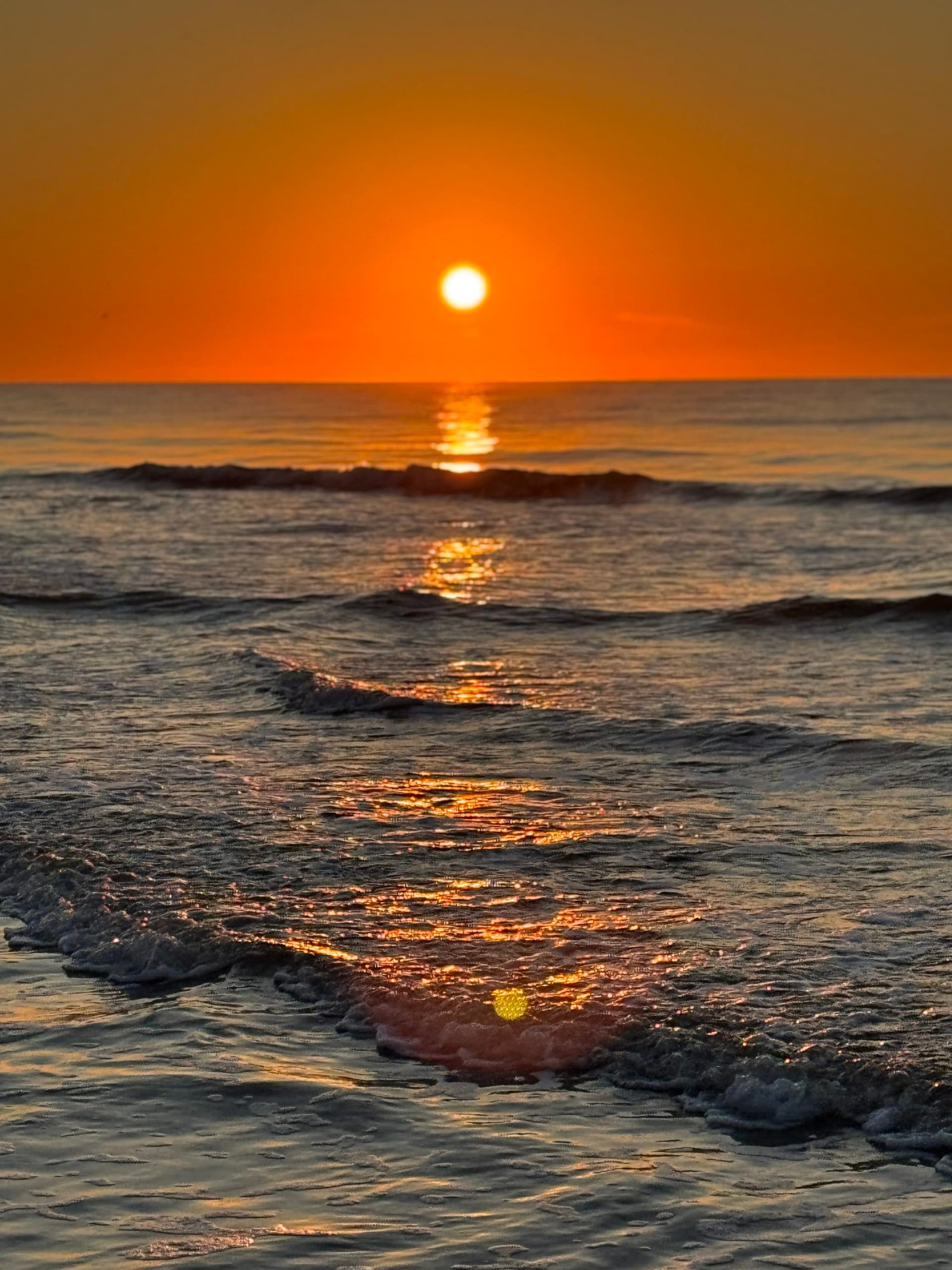 Olga T, South Carolina
