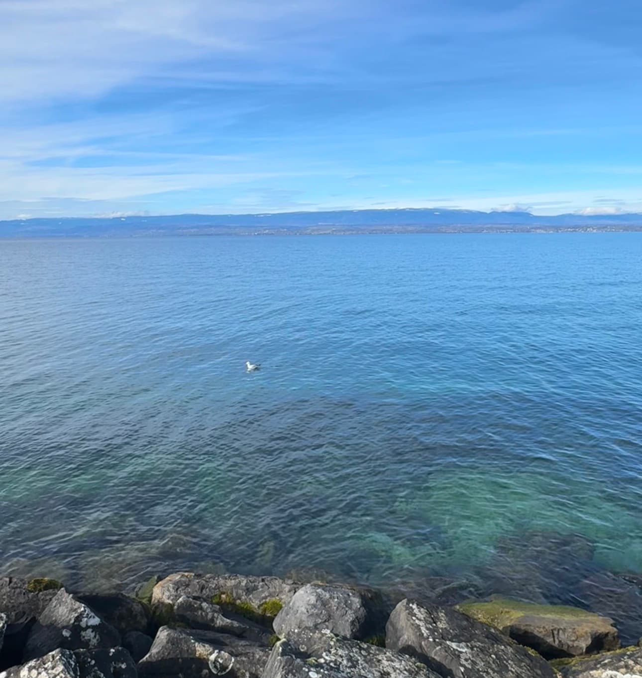 Sonia T, Lake Geneva