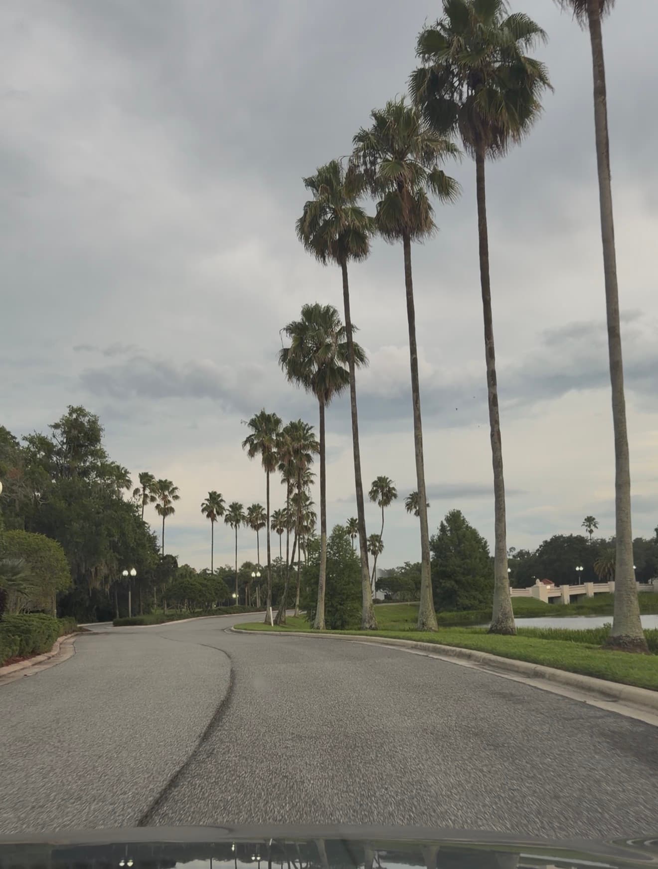 Asia R, Florida